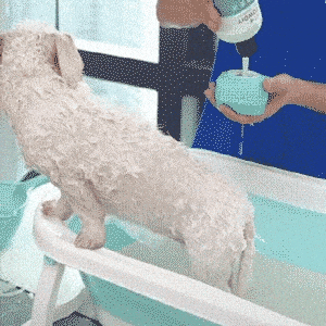 Pet Bath Massage Brush