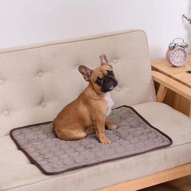 Cooling Dog Pad