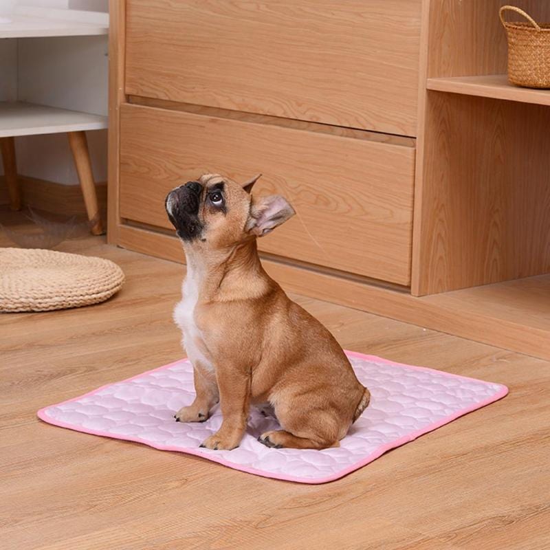 Cooling Dog Pad