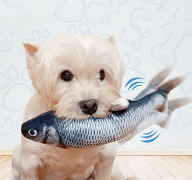 Flappy Fish Friend - Active Fish Toy for Pets